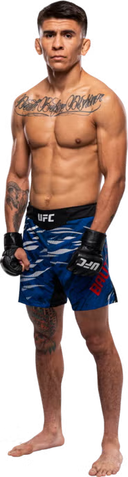 Bautista